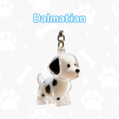My Pet Charm