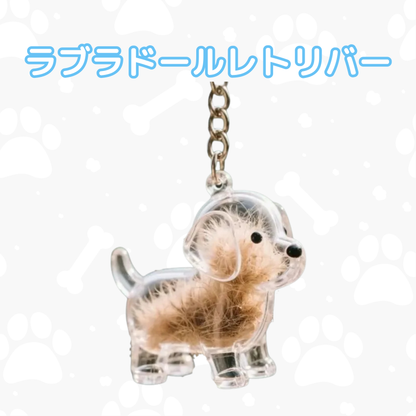 マイペットチャーム