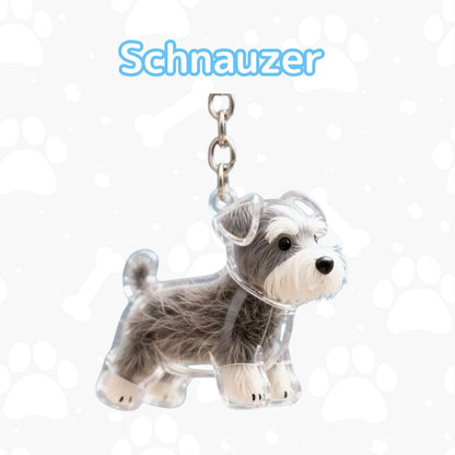 My Pet Charm