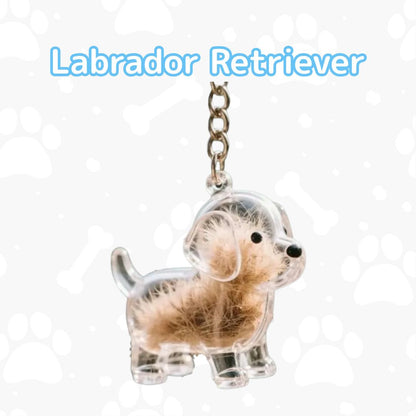 My Pet Charm