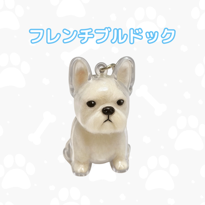 マイペットチャーム