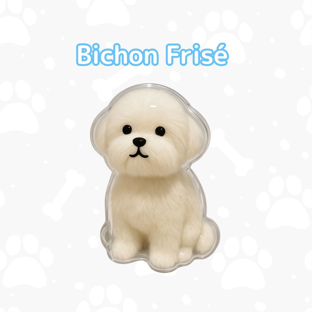 My Pet Charm