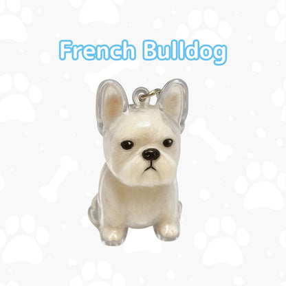 My Pet Charm