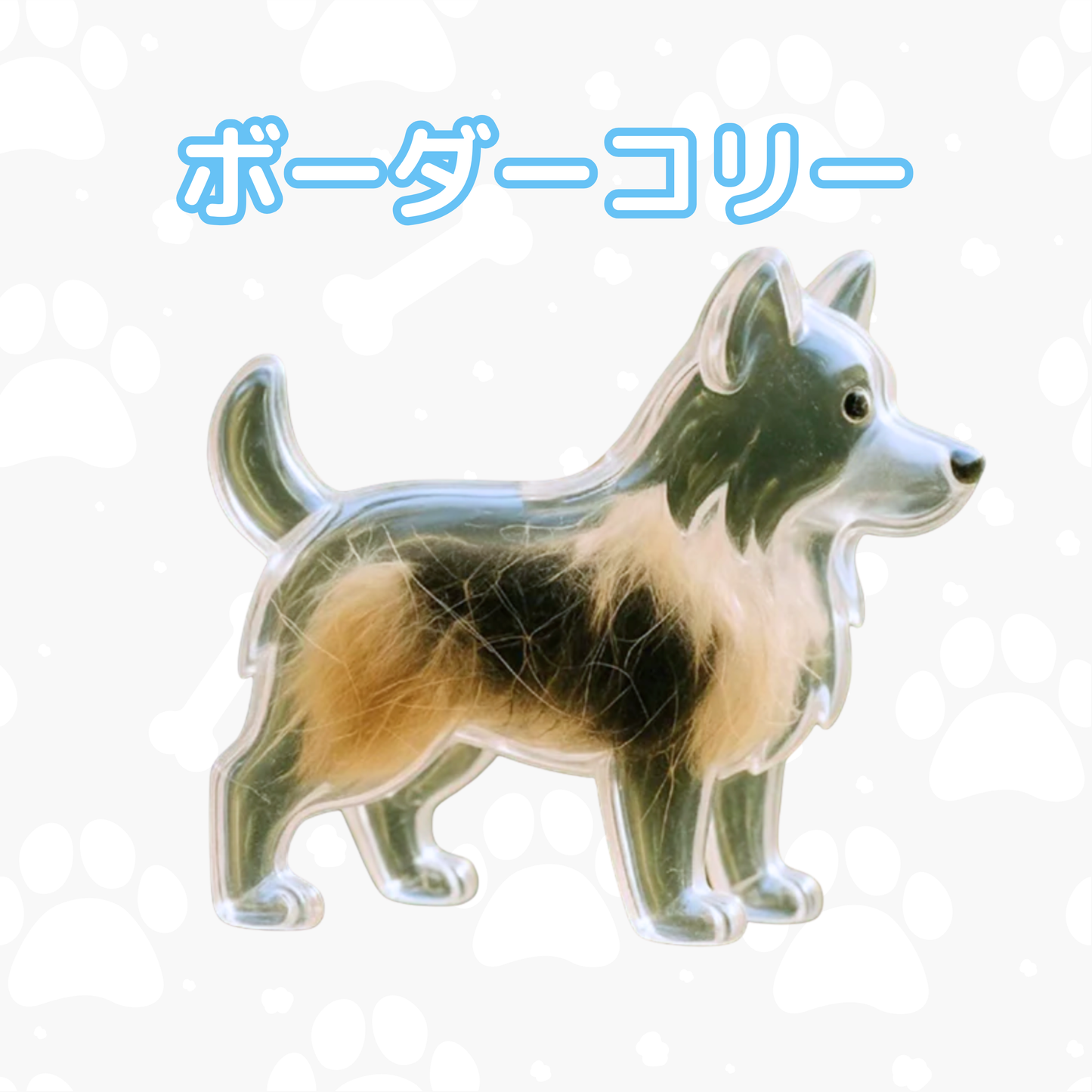 マイペットチャーム