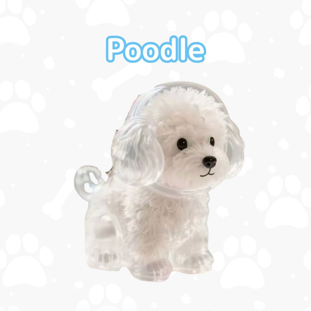 My Pet Charm