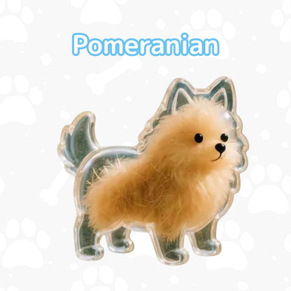 My Pet Charm
