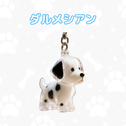 マイペットチャーム