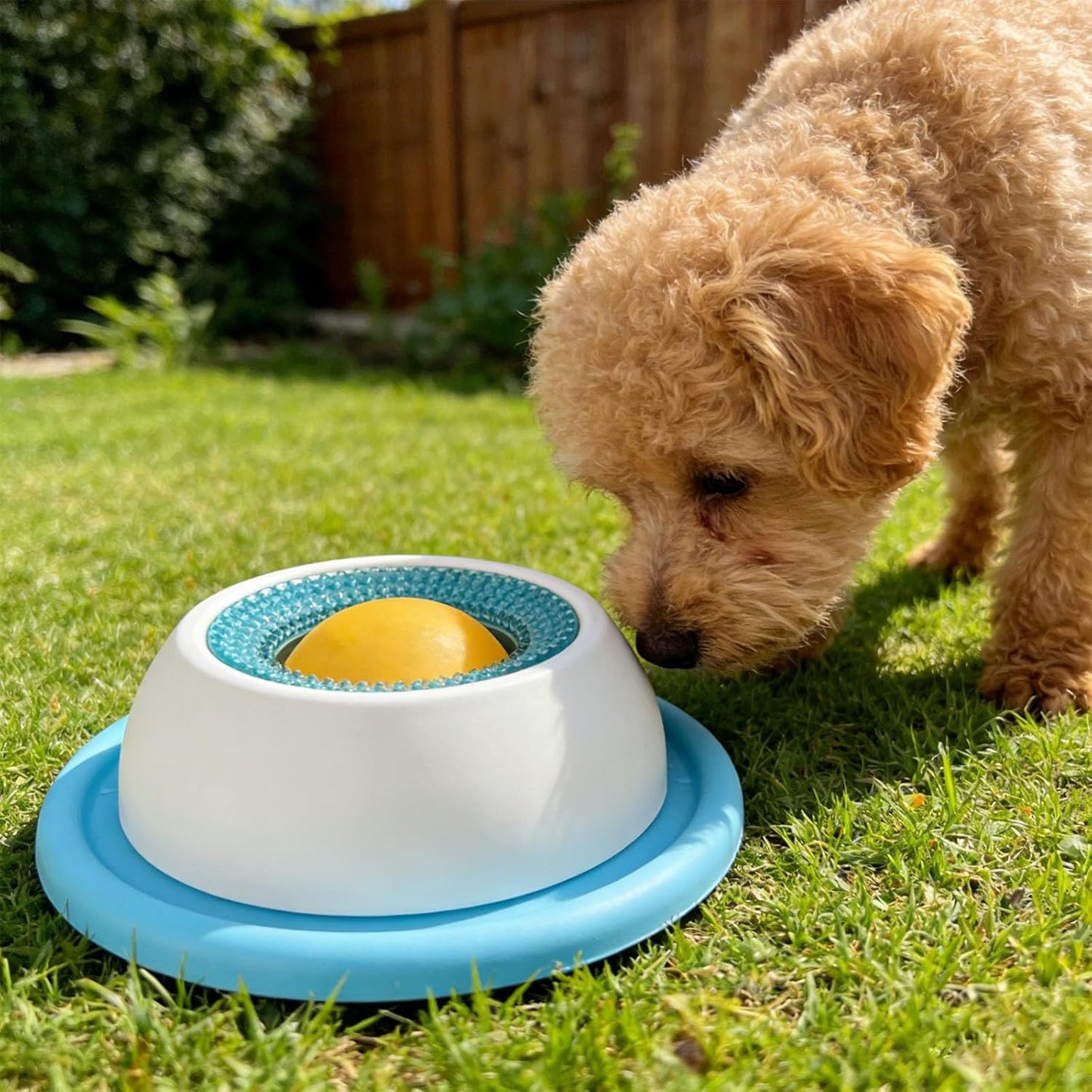 ご褒美おやつボール