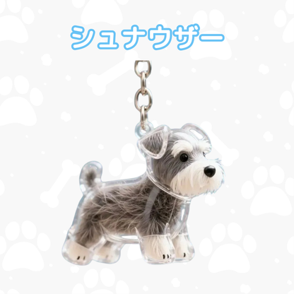 マイペットチャーム