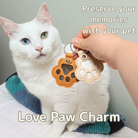Love Paw Charm